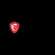 MSI logo