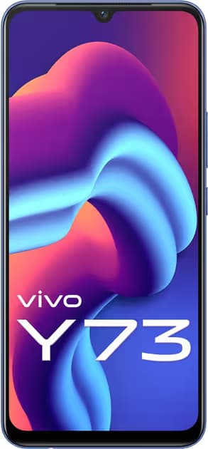  Vivo Y73