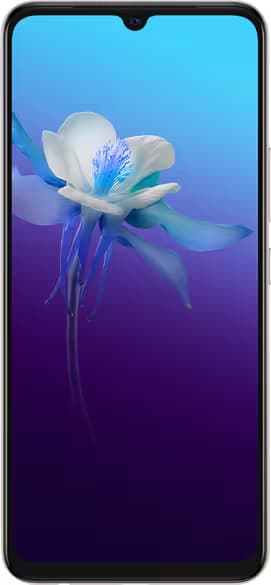 Sell old Vivo V20